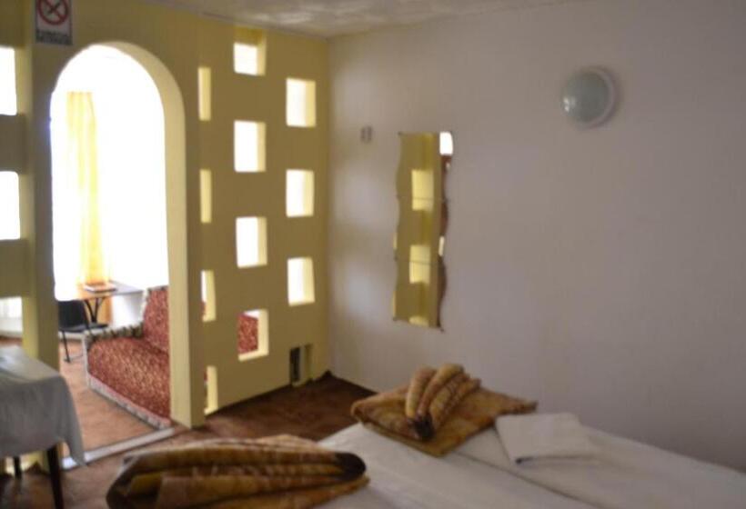 غرفة قياسية, Pensiune Turistica Milcov Vladet