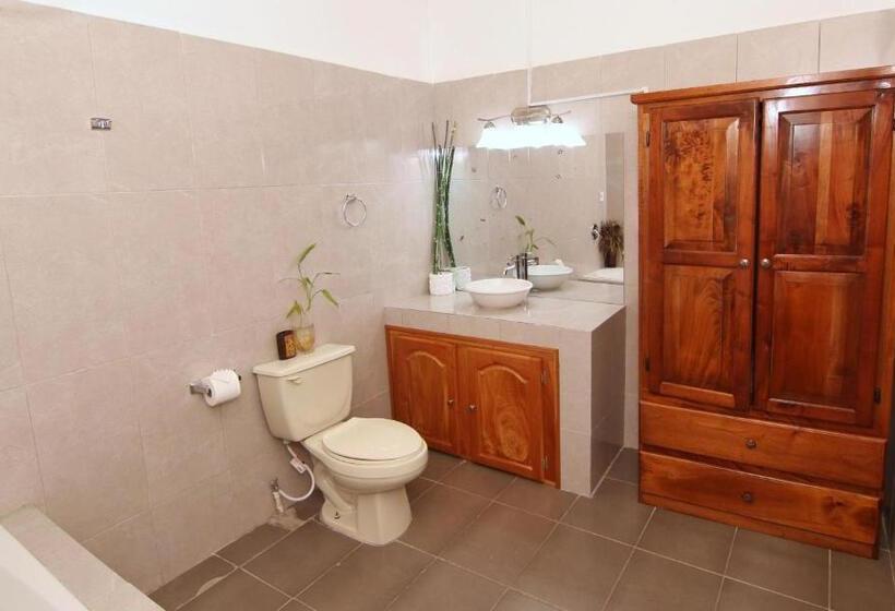 اتاق لوکس, Rainforest Haven Inn