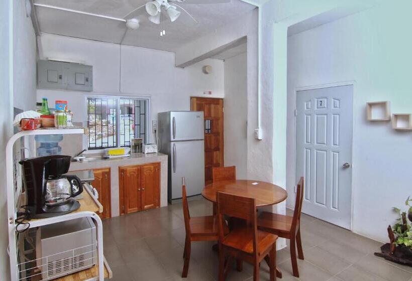 اتاق لوکس, Rainforest Haven Inn