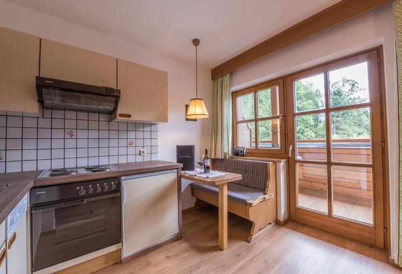 Апартаменты 1 Спальня с Балконом, Gästehaus Vorderegger