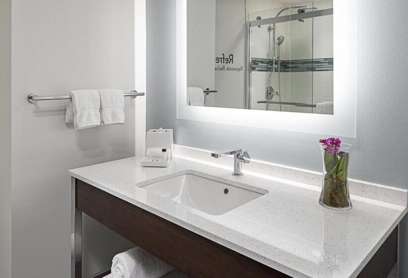 适合残疾人使用的标准间, Even Hotel Alpharetta   Avalon Area, An Ihg