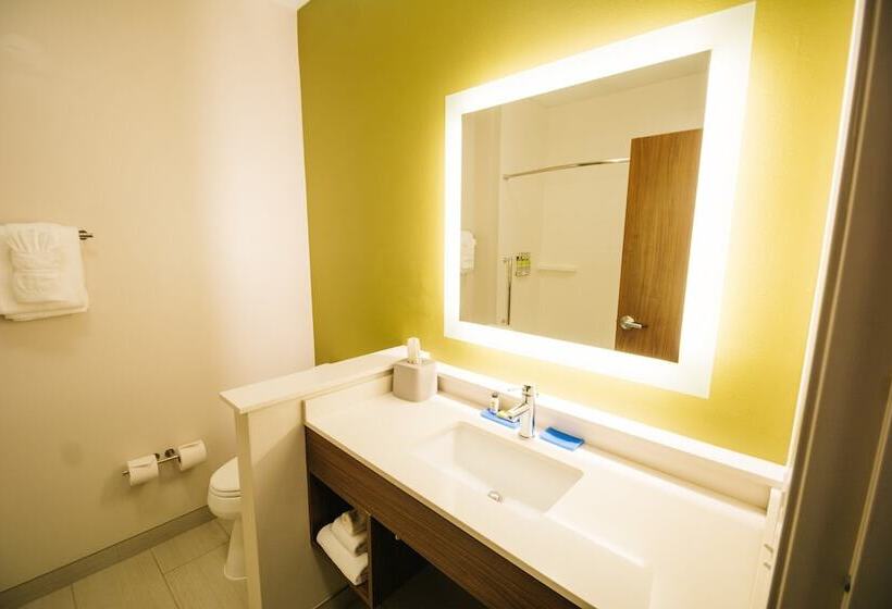 스탠다드 룸, Holiday Inn Express & Suites Birmingham   Homewood By Ihg