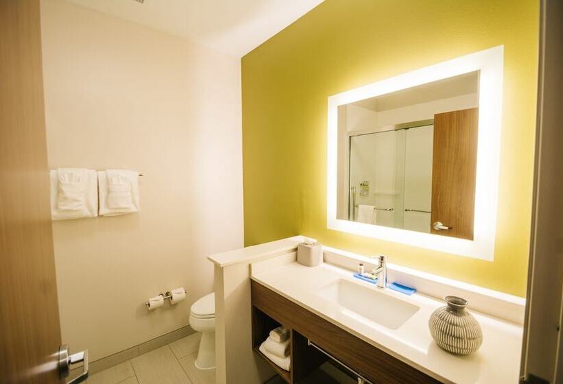 套房, Holiday Inn Express & Suites Birmingham   Homewood By Ihg