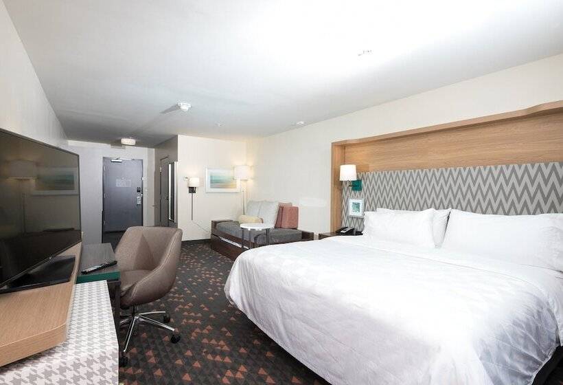 套房, Holiday Inn   Kalamazoo West, An Ihg