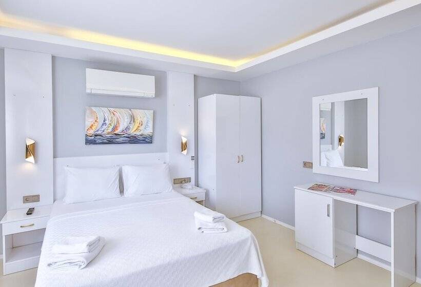 Quarto Estandar, No37