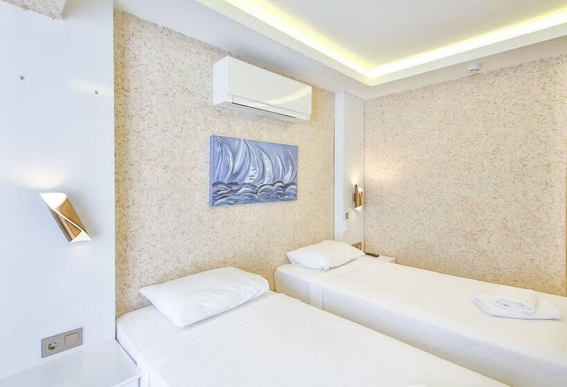 Quarto Estandar, No37