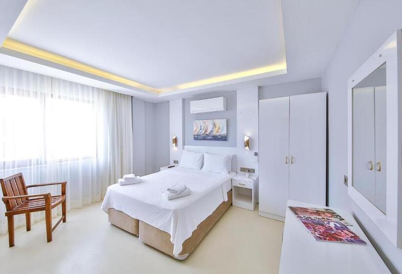 Quarto Estandar, No37