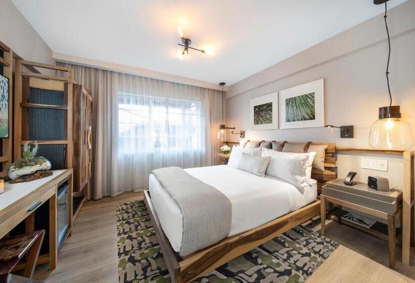 Quarto Estandar para Deficientes Físicos, Lennox Miami Beach