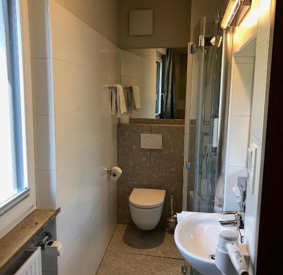 Номер Economy Индивидуальный, Stadthotel Goldenes Schiff