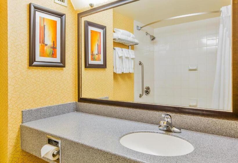 اتاق استاندارد برای معلولان, Holiday Inn Sydney   Waterfront, An Ihg