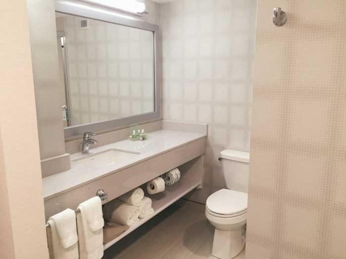 キングサイズベッドのエクゼクティブルーム, Holiday Inn Winnipeg   Airport West, An Ihg