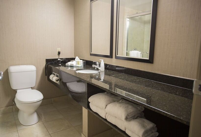 Полулюкс, Superior Inn Hotel And Conference Centre Thunder Bay