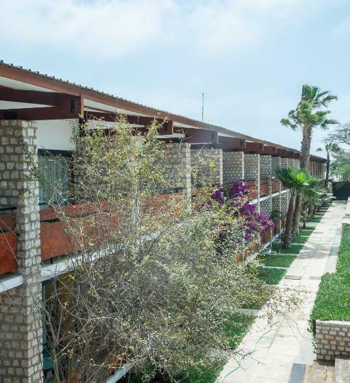 اتاق لوکس, Oasis Belorizonte