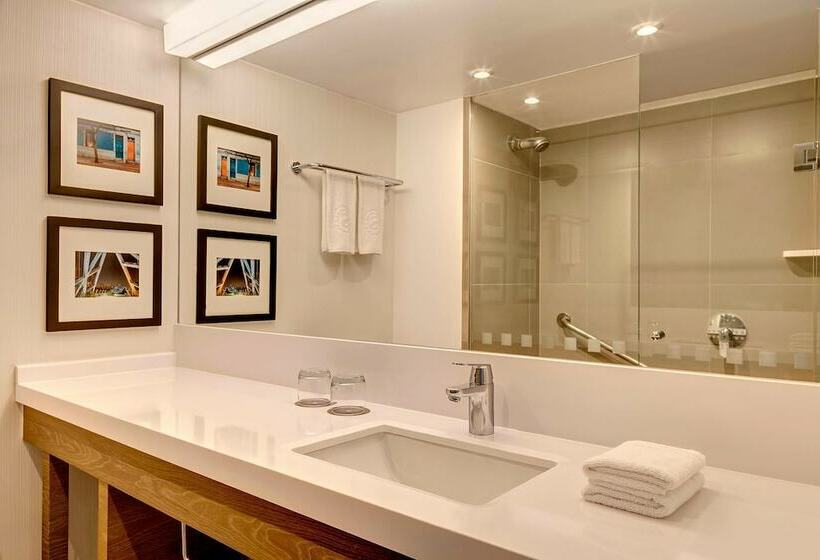 اتاق کلاسیک با چشم‌انداز استخر, Sheraton Santiago Hotel & Convention Center