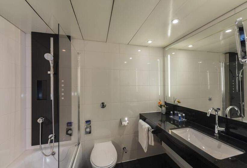 舒适型房间, Maritim Hotel Königswinter