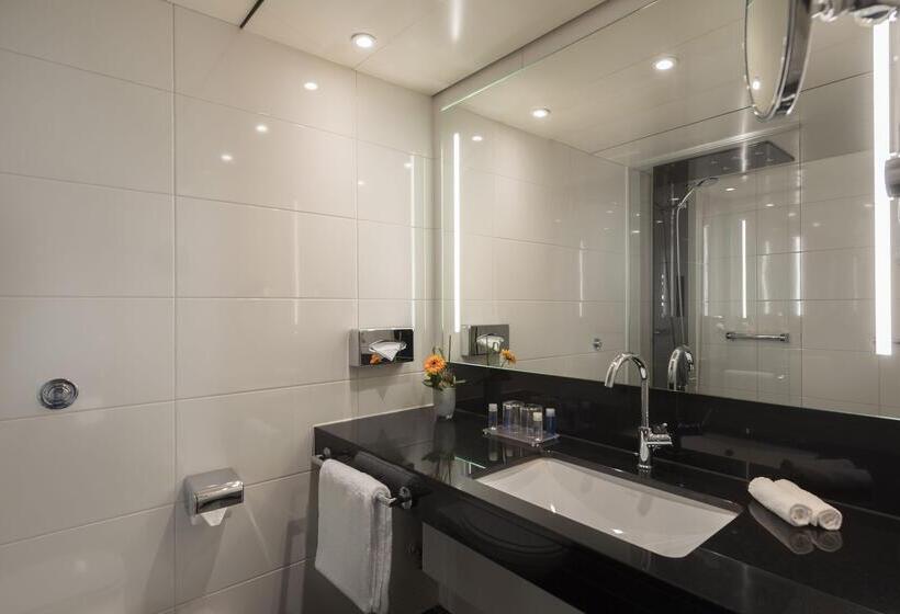 舒适型单人间, Maritim Hotel Königswinter