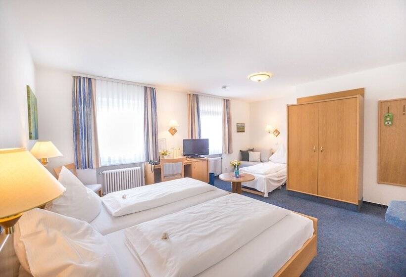 Номер Стандарт Трехместный, Tiptop Hotel Garni Pfauen