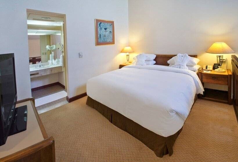 آپارتمان 1 خوابه, Hilton Addis Ababa