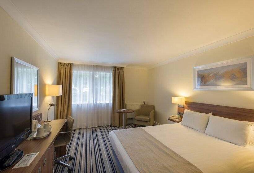 اتاق استاندارد, Holiday Inn Swindon, An Ihg
