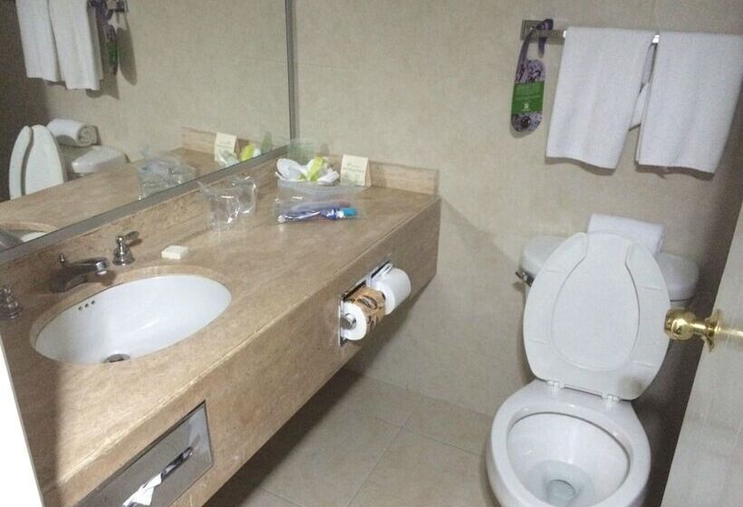 スタンダードルーム, Holiday Inn Monterrey Norte, An Ihg