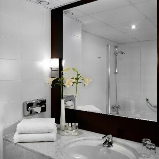 수피리어 룸, Park Plaza Eindhoven