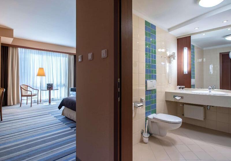 Номер Классический Вид на Город, Mercure Wrocław Centrum