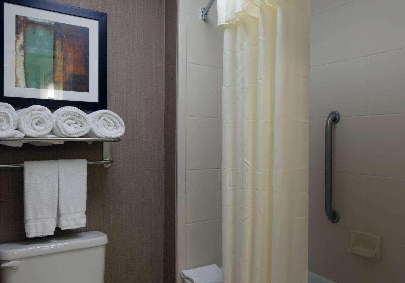 غرفة قياسية لذوى الاحتياجات الخاصة, Arizona Biltmore, Lxr Hotels & Resorts