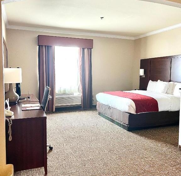Deluxe Suite King Bed, Comfort Suites Texas Ave