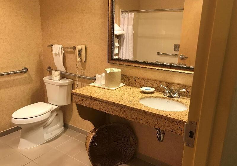 스탠다드 룸 킹사이즈 침대, Best Western Plus Revere Inn & Suites
