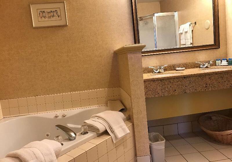 스위트 킹사이즈 침대, Best Western Plus Revere Inn & Suites