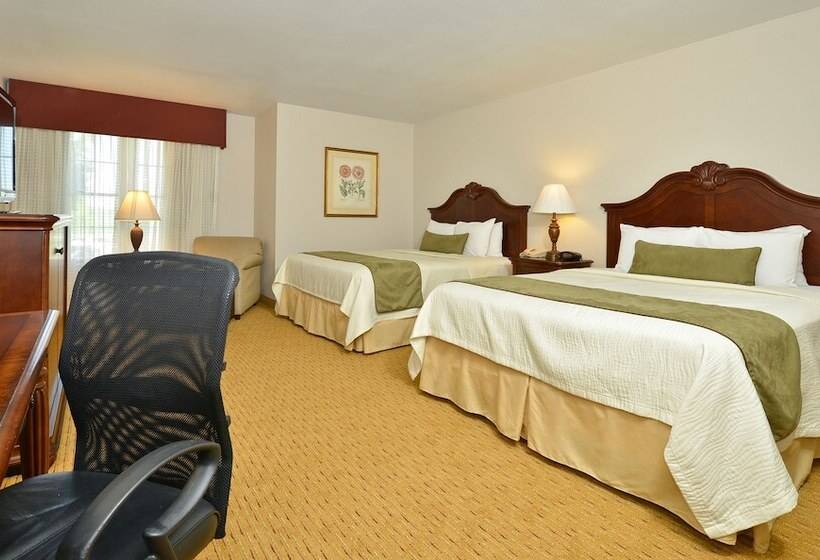 Номер бизнес-класса, Best Western Plus Steeplegate Inn