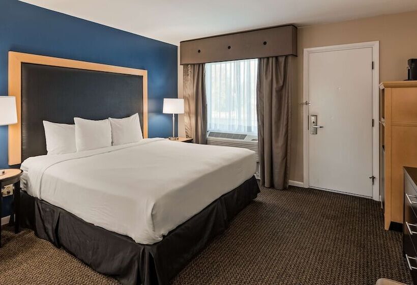 Номер Стандарт Двуспальная Кровать, Best Western River Terrace