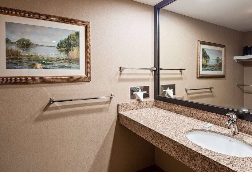Номер Стандарт 2 Двуспальные Кровати, Best Western River Terrace