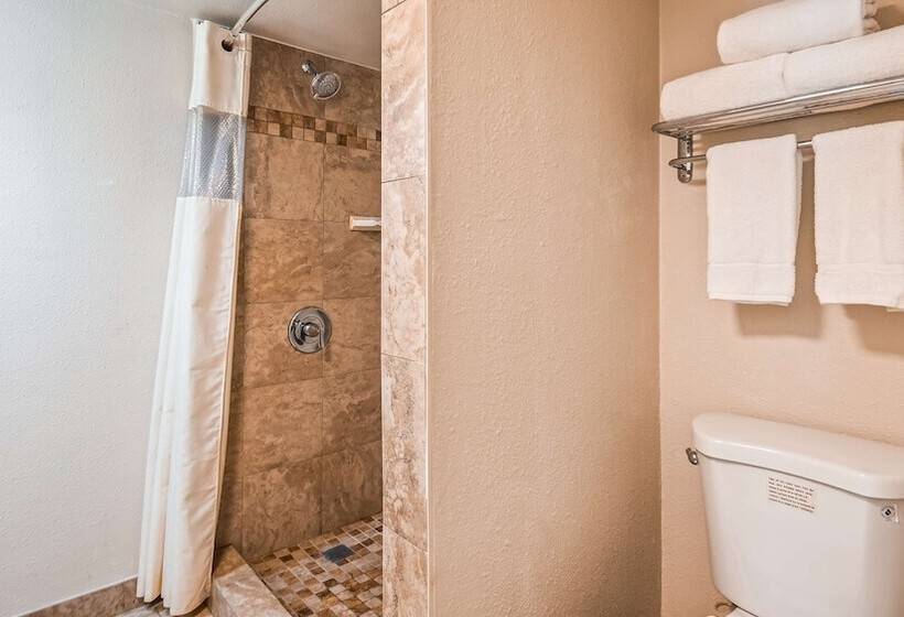 Номер Стандарт 2 Двуспальные Кровати, Best Western Town House Lodge