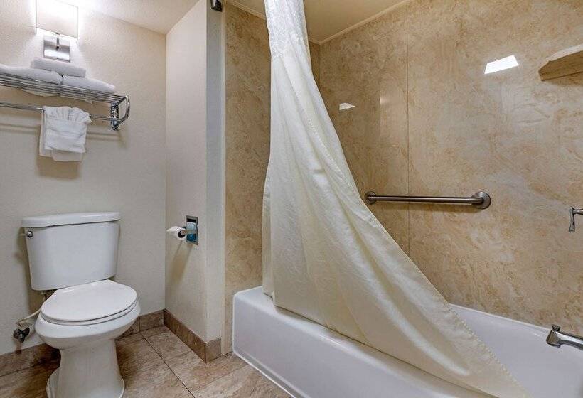Номер Стандарт 2 Двуспальные Кровати, Best Western Town House Lodge