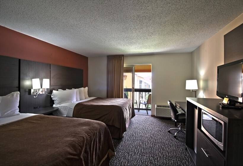 皇家房间, Chicago Club Inn & Suite