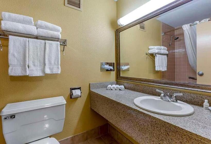 Люкс Deluxe Кровать Кинг, Clarion Inn & Suites