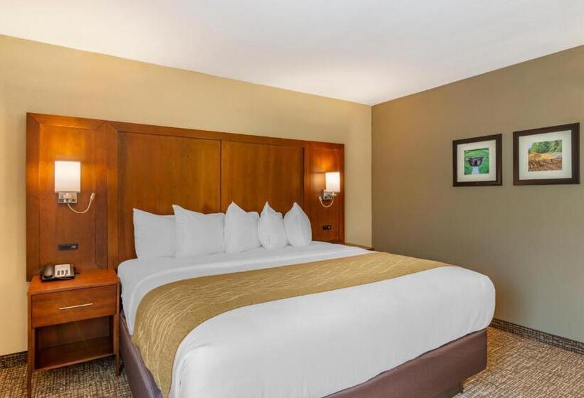스탠다드 룸 킹사이즈 침대, Comfort Inn Petersburg Near Fort Greggadams