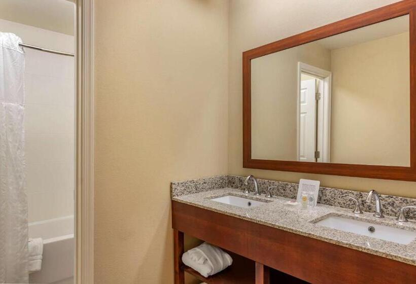 수피리어 룸, Comfort Inn Petersburg Near Fort Greggadams