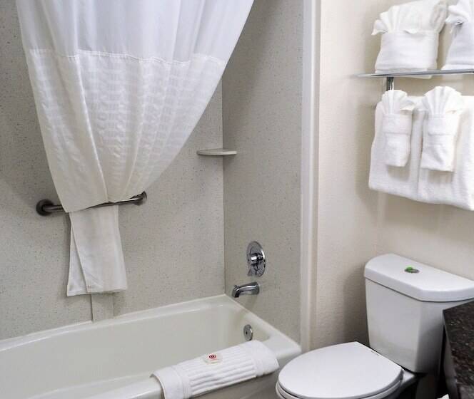 Номер Стандарт 2 Двуспальные Кровати, Comfort Inn Downtown Charleston