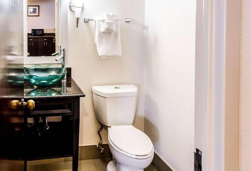 Стандартный Номер Кровать Кинг, Comfort Inn Downtown Charleston