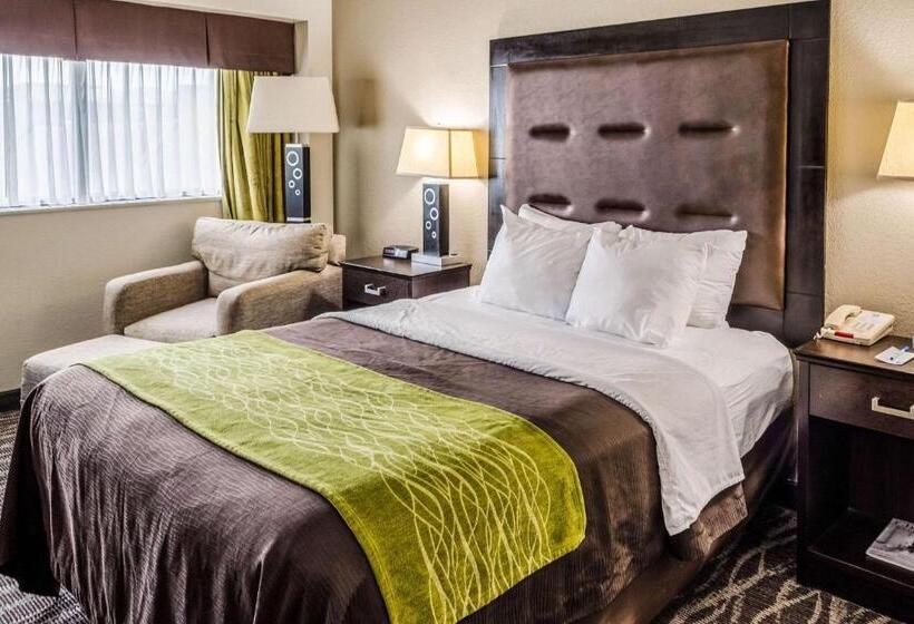 Номер Стандарт Адаптированный для Инвалидов, Comfort Inn Downtown Charleston