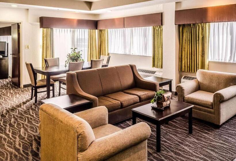 Люкс Кровать Кинг, Comfort Inn Downtown Charleston