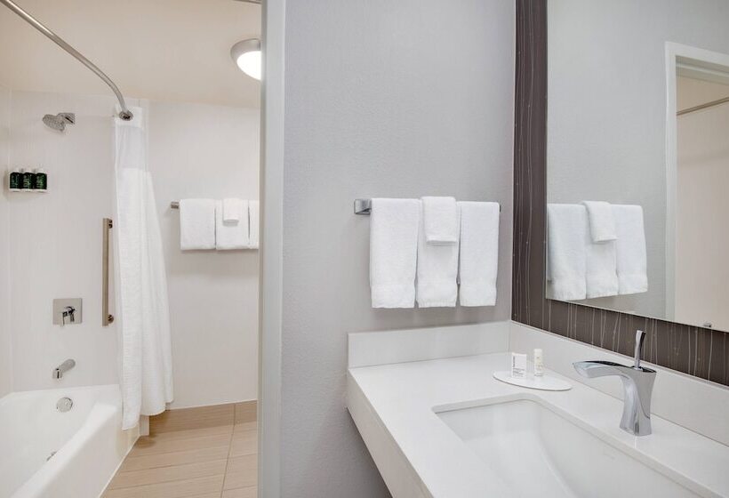 Suite, Courtyard By Marriott Birmingham Homewood