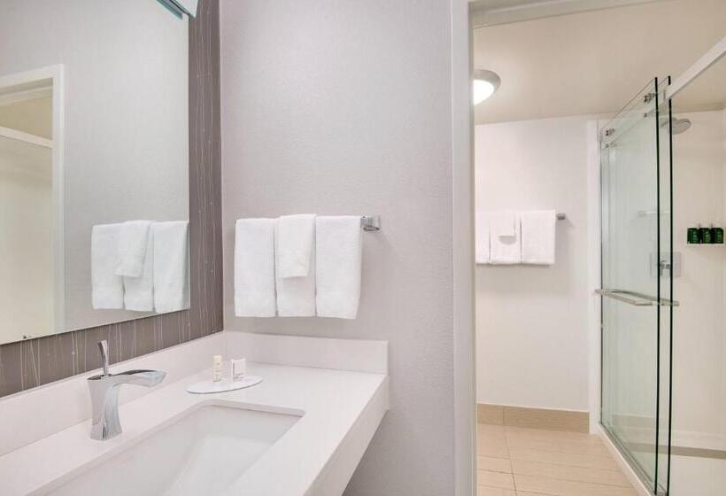 스탠다드 룸 킹사이즈 침대, Courtyard By Marriott Birmingham Homewood