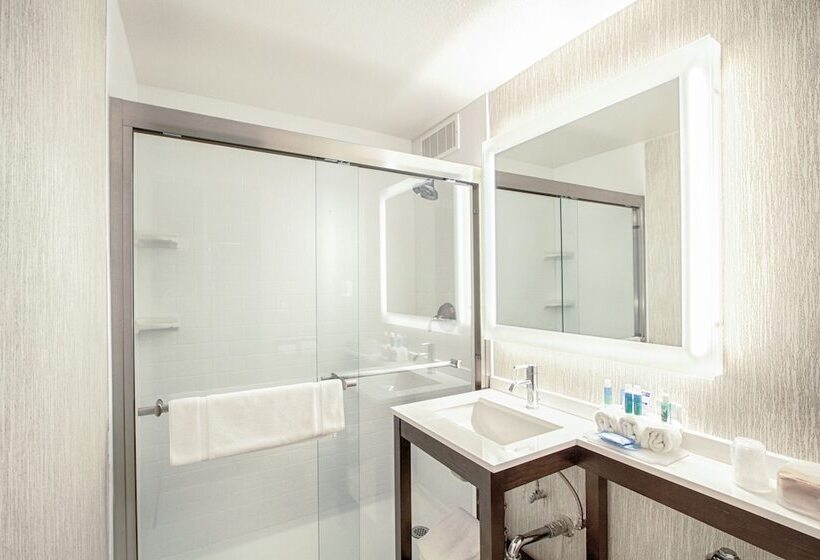 סוויטה מותאמת לאדם עם מוגבלויות, Holiday Inn Express   Downtown San Diego, An Ihg