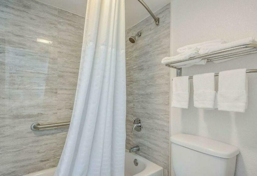 장애인을 위한 스탠다드 룸, Rodeway Inn Port Richey North