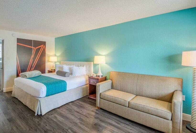 스탠다드 룸 킹사이즈 침대, Rodeway Inn Port Richey North
