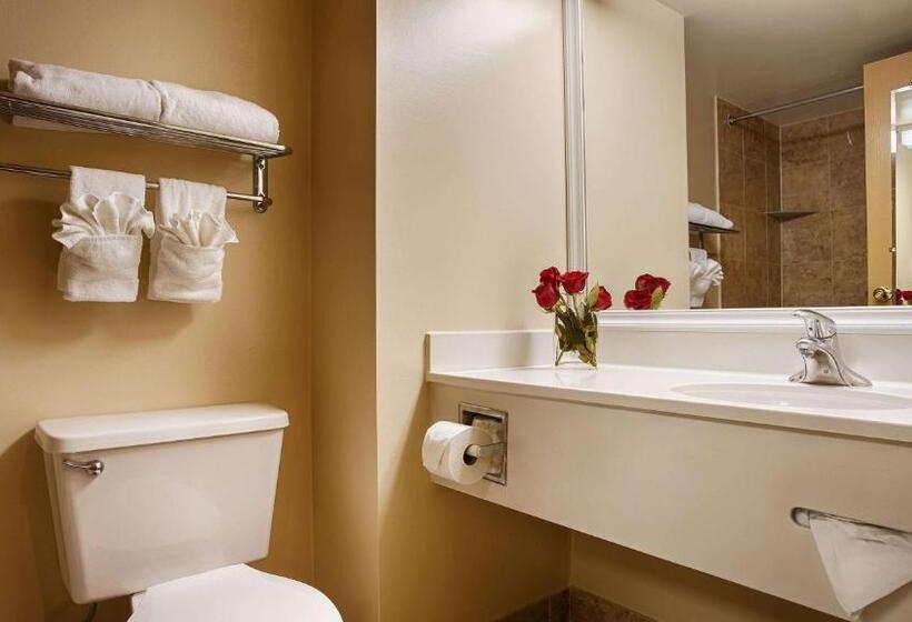 Номер Стандарт, Best Western Potomac Mills