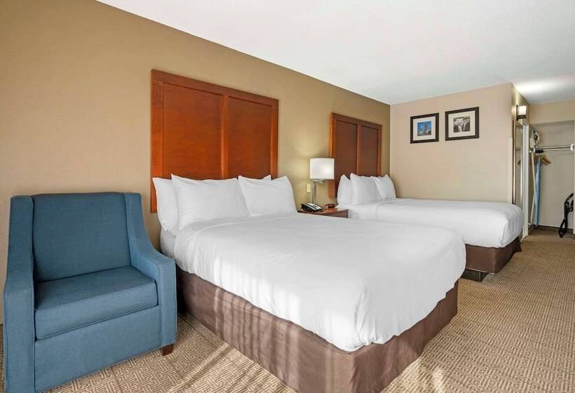 Standaardkamer met 2 Tweepersoonsbedden, Comfort Inn & Suites North At The Pyramids